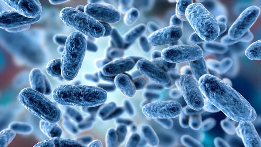 Jakie badania na krztusiec? Poznaj skuteczne metody diagnostyki