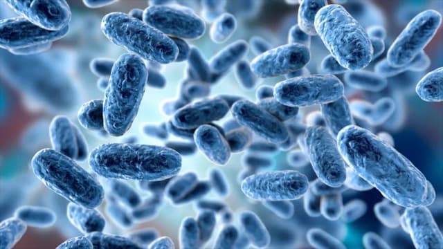 Jakie badania na krztusiec? Poznaj skuteczne metody diagnostyki