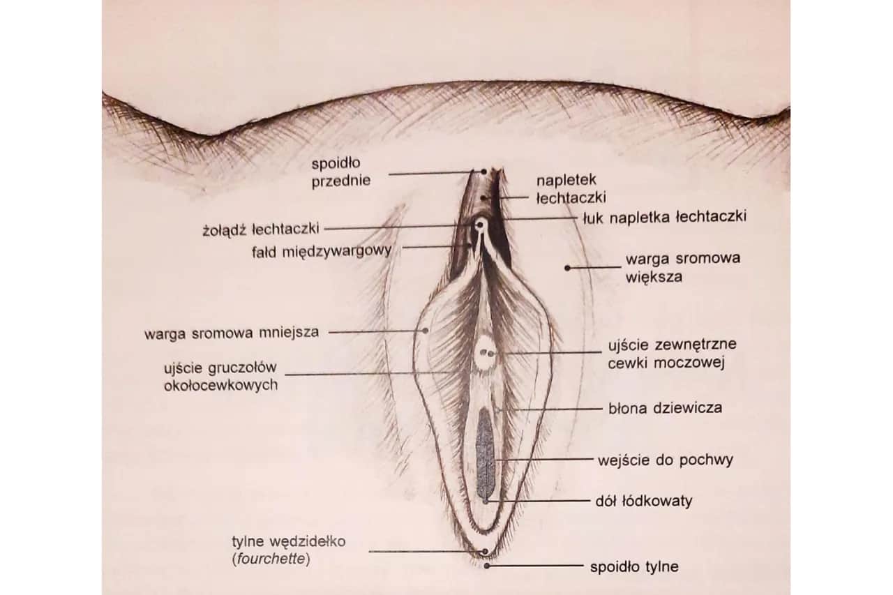 Labioplastyka nfz gdzie: Jak uzyskać refundację i uniknąć bólu